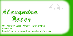 alexandra meter business card